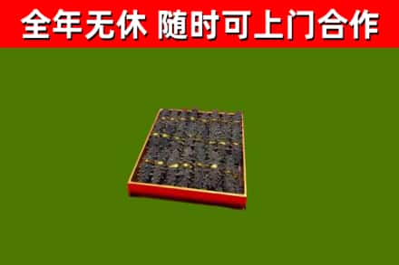 莆田烟酒回收海参.jpg